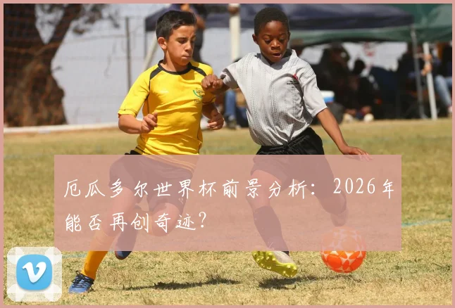 厄瓜多尔世界杯前景分析：2026年能否再创奇迹？